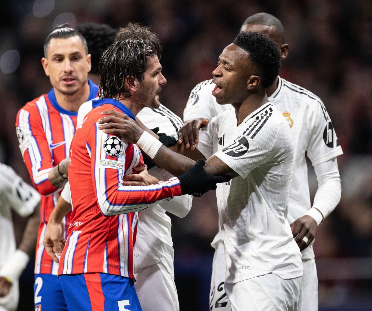 帽子戏法拯救球队！外媒：都柏林博物馆将只鹦鹉以帕洛特命名（戴帽救主！外媒：都柏林博物馆拟以帕洛特命名一只鹦鹉）